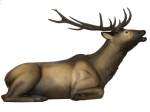 (image for) SRT Elk