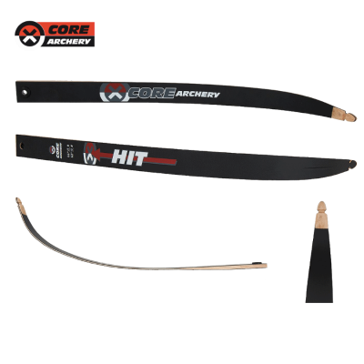 (image for) Core Hit Limbs