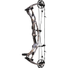 (Bild für) Hoyt Carbon RX-9 SD Compound Bogen