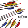 (Bild für) Black Eagle Intrepid (±0.006) Carbon Fertigpfeil Natur (4.2)