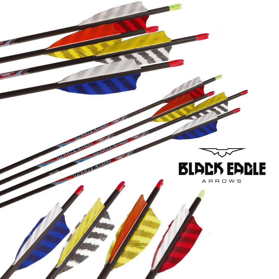(image for) Black Eagle Intrepid (±0.006) Carbon Arrow Feathers (4.2)