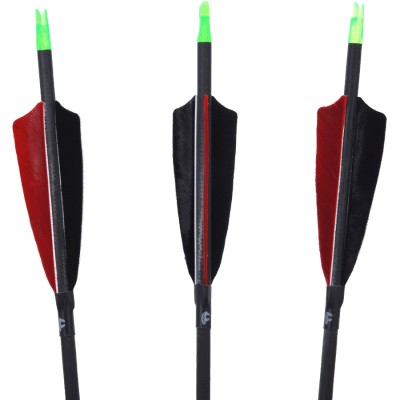 (image for) Penthalon Traditional Black Carbon Arrow with Feathers