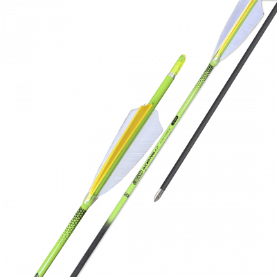 (image for) Shocq Inceptor Carbon Arrow "ready to shoot" with Feathers (4.2)