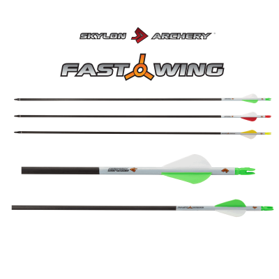 (image for) Skylon Fast Wing (±0.006) Carbon Arrow (6.2)