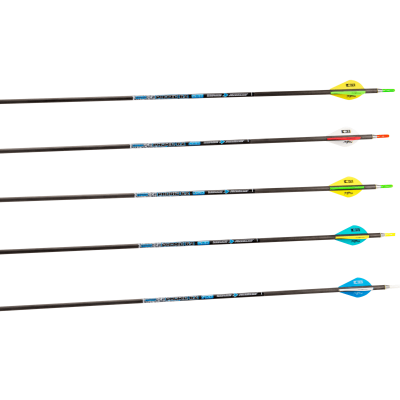 (image for) Skylon Phoric (±0.003) Carbon Arrow (6.2)