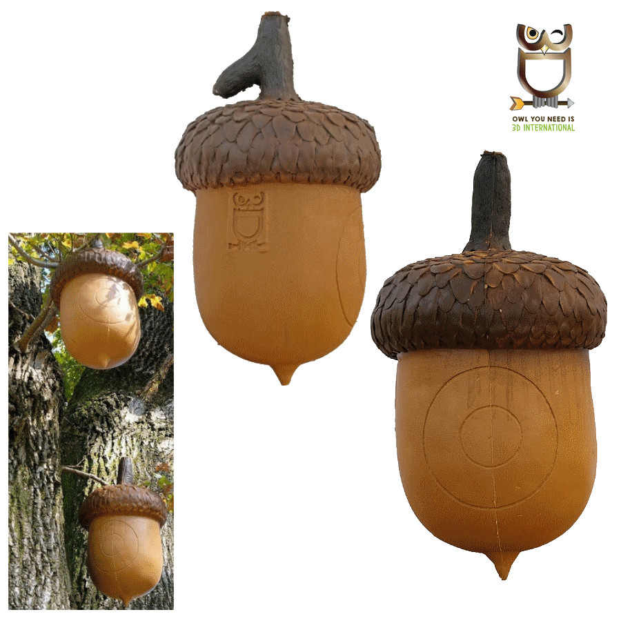 (image for) 3D-Int Acorn