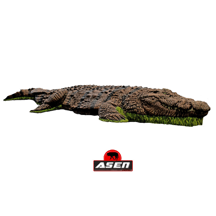 (image for) Wildcrete 3D Crocodile