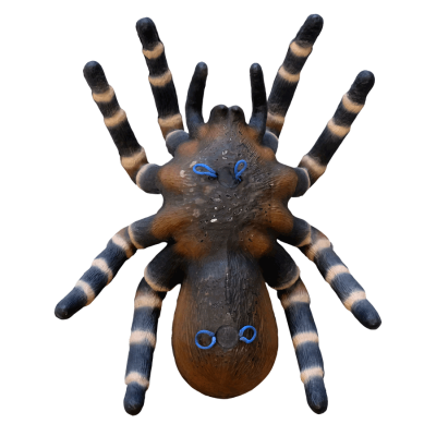 (Bild für) Leitold 3D Vogelspinne