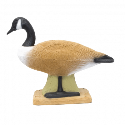 (Bild für) SRT Kanadagans