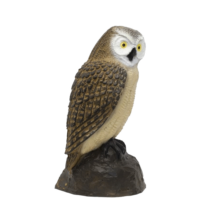 SRT Kauz (Bild für) SRT Kauz