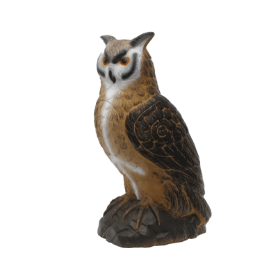 (Bild für) SRT Königseule