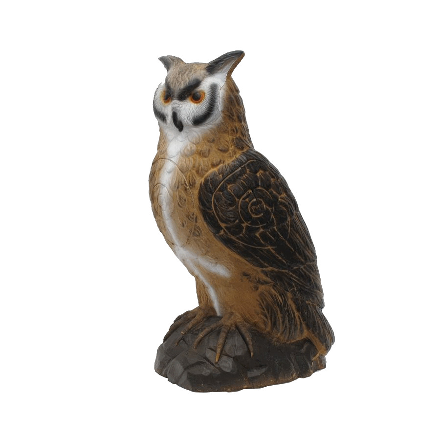 (Bild für) SRT Königseule