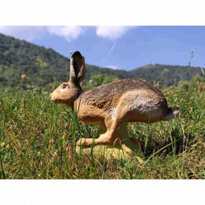 (Bild für) SRT laufender Hase