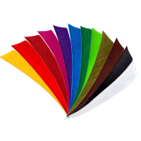 (image for) Turkey Feathers