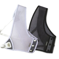 (image for) Chest Guards