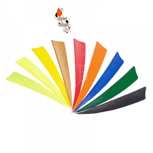 Gateway Feathers 4" RW (Shield)
