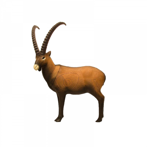 SRT Ibex