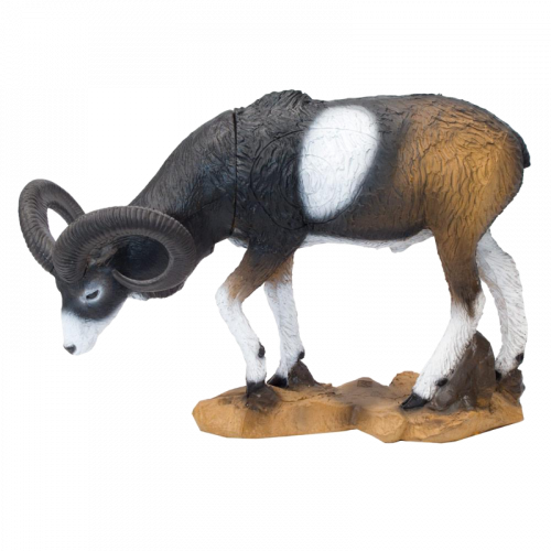 SRT Muflon grazing