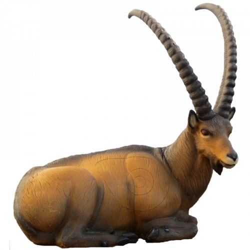 SRT Ibex Bedded