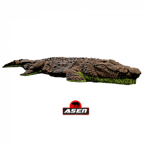 Wildcrete 3D Crocodile