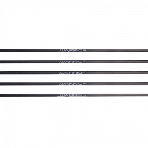 Gold Tip Warrior (±0.006) Carbonschaft