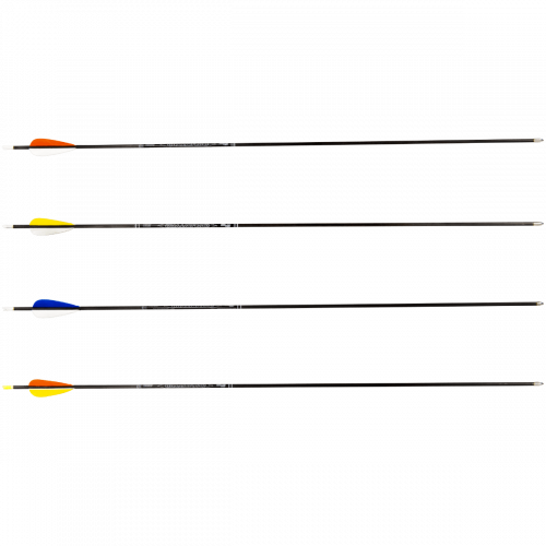 Avalon Tyro Carbon Arrow ready to shoot (4.2) with Feathers